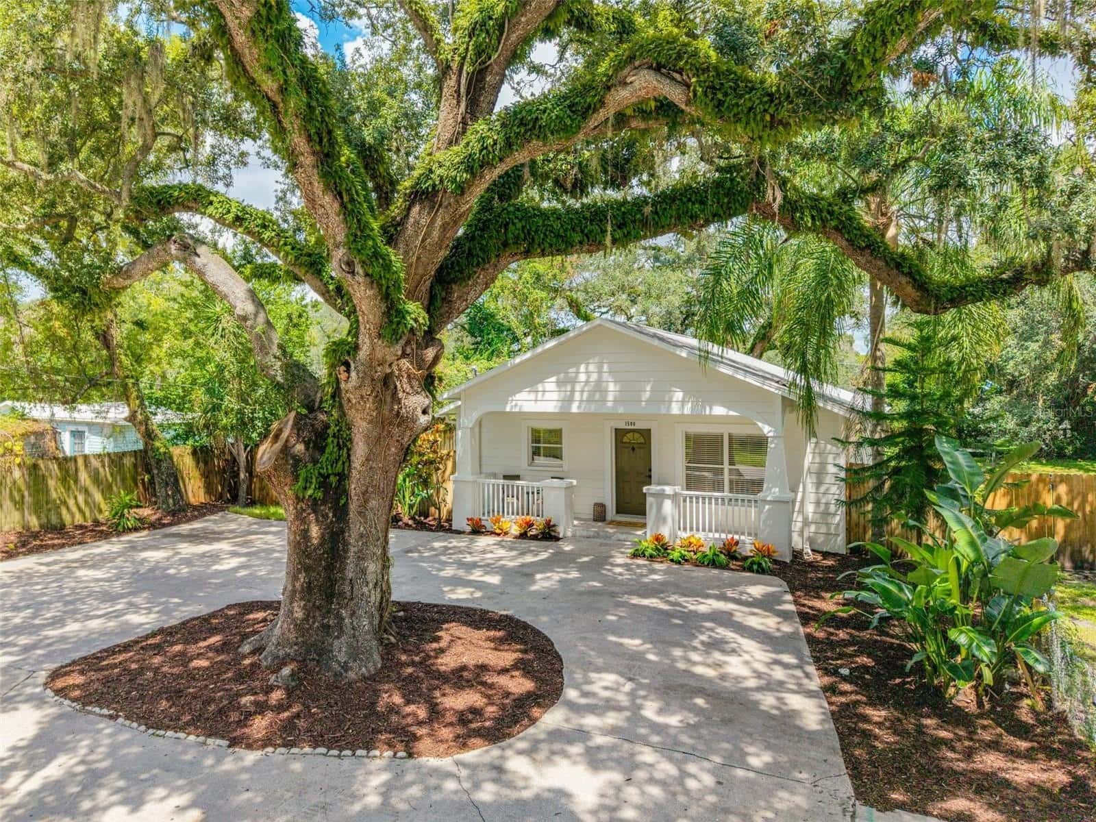 Single Family Residence in TAMPA