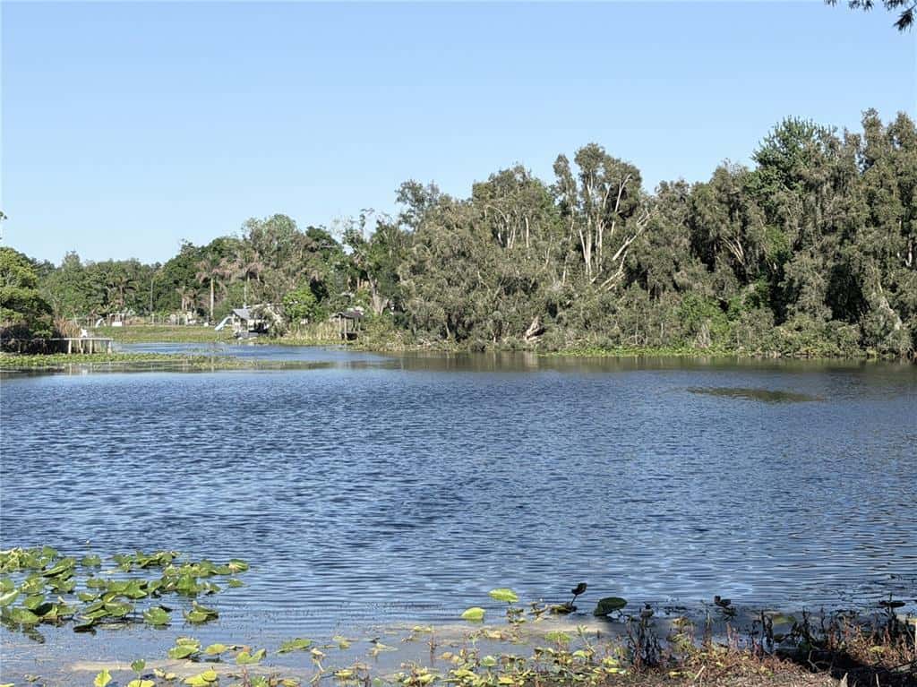 Single Family Residence in TAMPA