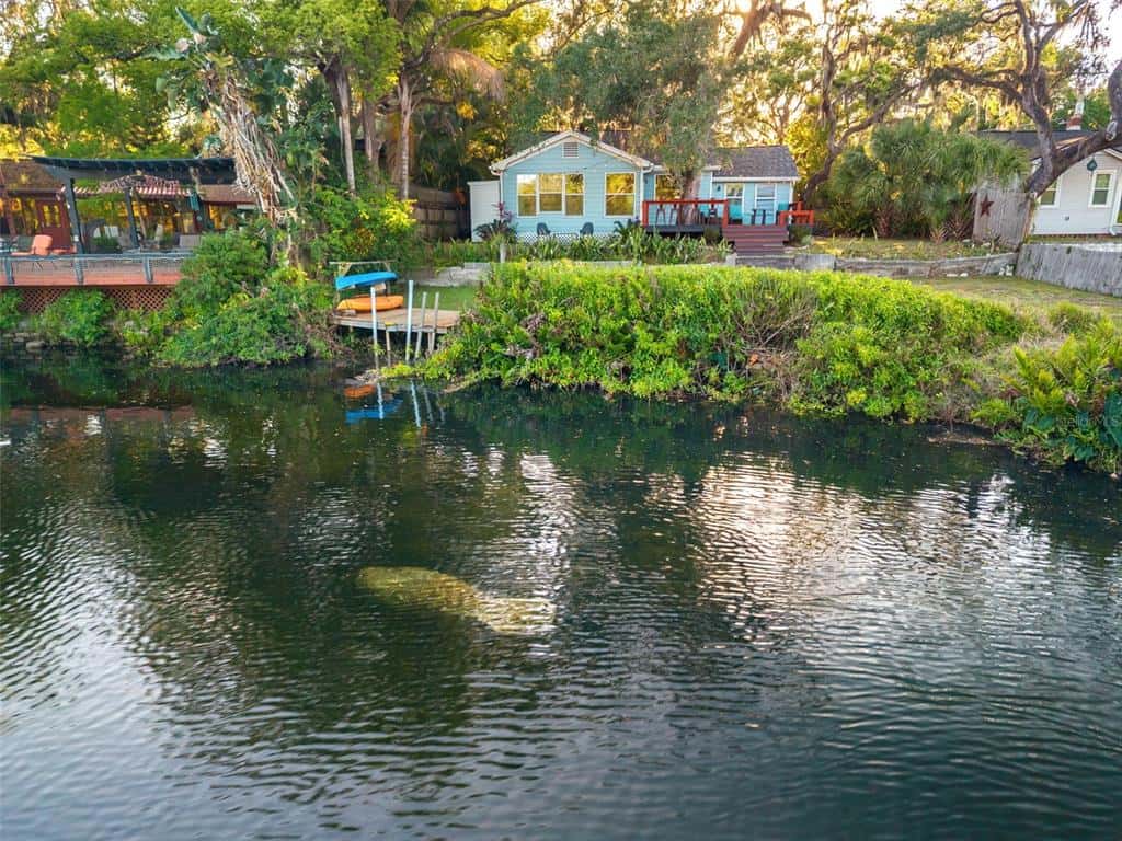 Single Family Residence in TAMPA