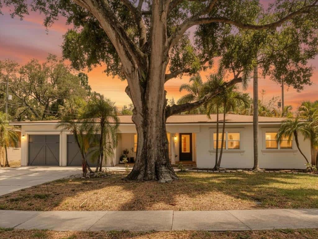 Single Family Residence in TAMPA