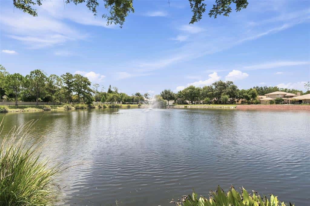 Single Family Residence in OLDSMAR