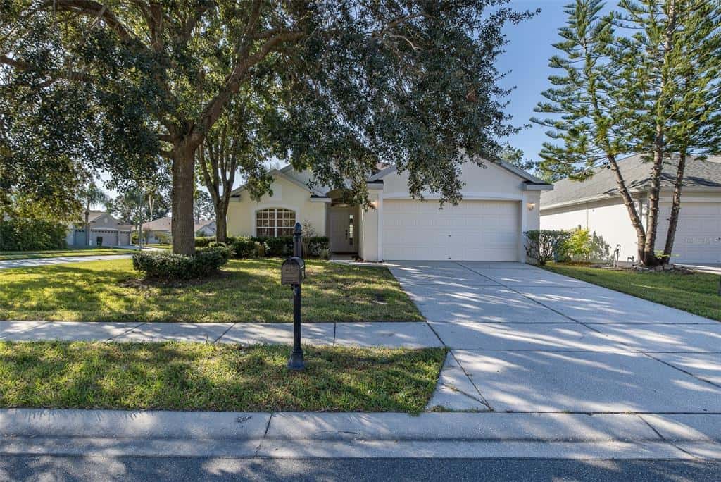 Single Family Residence in LAND O LAKES